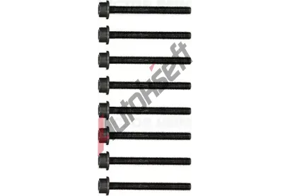 REINZ Sada roub pro hlavy vlc VR 14-18377-01, 14-18377-01