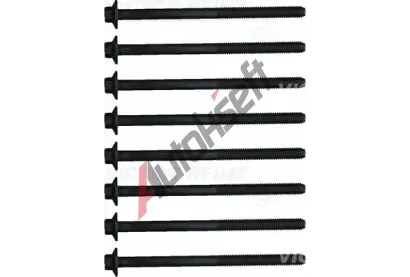 REINZ Sada �roub� pro hlavy v�lc� VR 14-18424-01, 14-18424-01