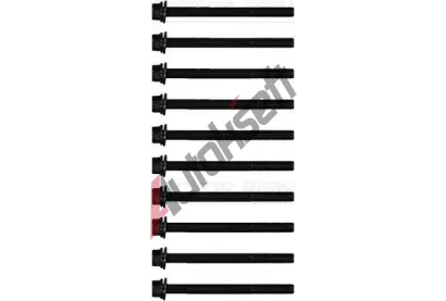 REINZ Sada �roub� pro hlavy v�lc� VR 14-18582-01, 14-18582-01