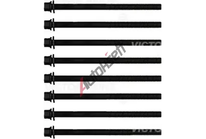 REINZ Sada �roub� pro hlavy v�lc� VR 14-18586-01, 14-18586-01