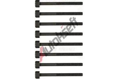 REINZ Sada �roub� pro hlavy v�lc� VR 14-19487-02, 14-19487-02