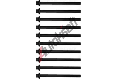 REINZ Sada �roub� pro hlavy v�lc� VR 14-20621-01, 14-20621-01