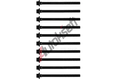REINZ Sada �roub� pro hlavy v�lc� VR 14-20892-01, 14-20892-01