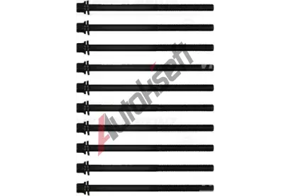 REINZ Sada �roub� pro hlavy v�lc� VR 14-21022-01, 14-21022-01