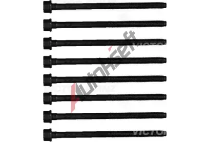 REINZ Sada �roub� pro hlavy v�lc� VR 14-21800-01, 14-21800-01