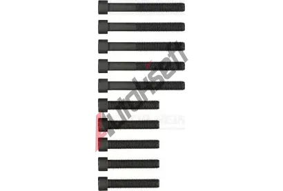 REINZ Sada šroubů pro hlavy válců VR 14-32039-01, 14-32039-01 REINZ Sada šroubů pro hlavy válců VR 14-32039-01, 14-32039-01