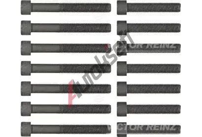 REINZ Sada roub pro hlavy vlc VR 14-32039-02, 14-32039-02