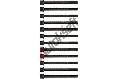 REINZ Sada šroubů pro hlavy válců VR 14-32049-01, 14-32049-01 REINZ Sada šroubů pro hlavy válců VR 14-32049-01, 14-32049-01