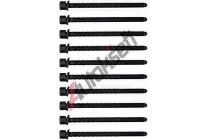 REINZ Sada roub pro hlavy vlc VR 14-32055-01, 14-32055-01