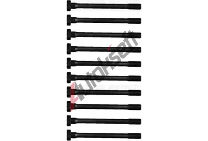 REINZ Sada roub pro hlavy vlc VR 14-32095-01, 14-32095-01