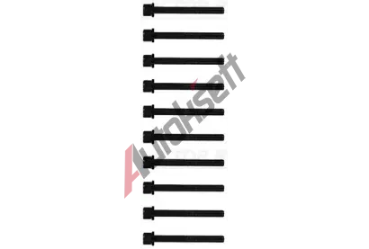 REINZ Sada roub pro hlavy vlc VR 14-32104-01, 14-32104-01