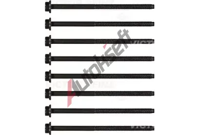 REINZ Sada šroubů pro hlavy válců VR 14-32123-02, 14-32123-02 REINZ Sada šroubů pro hlavy válců VR 14-32123-02, 14-32123-02