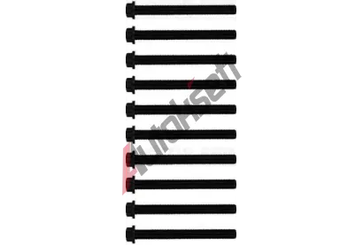 REINZ Sada �roub� pro hlavy v�lc� VR 14-32172-01, 14-32172-01