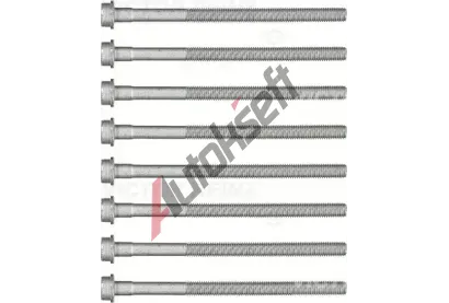 REINZ Sada šroubů pro hlavy válců VR 14-32173-01, 14-32173-01 REINZ Sada šroubů pro hlavy válců VR 14-32173-01, 14-32173-01