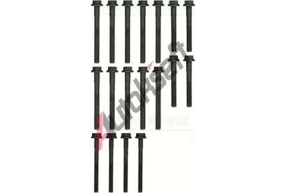 REINZ Sada roub pro hlavy vlc VR 14-32256-01, 14-32256-01