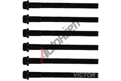 REINZ Sada �roub� pro hlavy v�lc� VR 14-32285-01, 14-32285-01