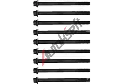 REINZ Sada šroubů pro hlavy válců VR 14-32295-01, 14-32295-01 REINZ Sada šroubů pro hlavy válců VR 14-32295-01, 14-32295-01