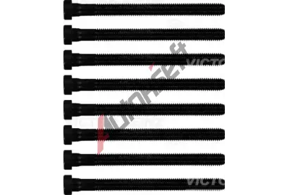 REINZ Sada roub pro hlavy vlc VR 14-32299-02, 14-32299-02
