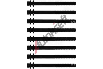 REINZ Sada �roub� pro hlavy v�lc� VR 14-32307-01, 14-32307-01