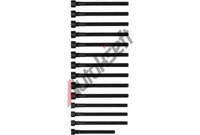 REINZ Sada roub pro hlavy vlc VR 14-32315-01, 14-32315-01