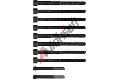 REINZ Sada �roub� pro hlavy v�lc� VR 14-32333-01, 14-32333-01