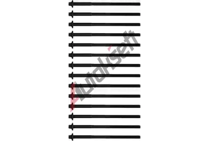 REINZ Sada �roub� pro hlavy v�lc� VR 14-32365-01, 14-32365-01