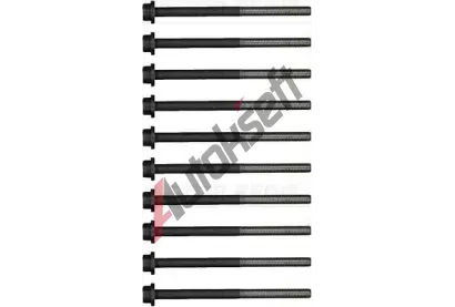 REINZ Sada šroubů pro hlavy válců VR 14-32381-01, 14-32381-01  REINZ Sada šroubů pro hlavy válců VR 14-32381-01, 14-32381-01