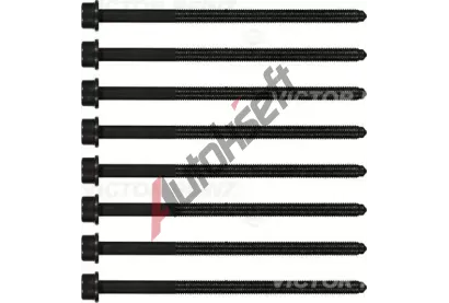 REINZ Sada roub pro hlavy vlc VR 14-32382-01, 14-32382-01