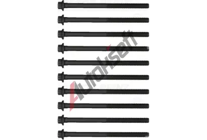 REINZ Sada �roub� pro hlavy v�lc� VR 14-32387-01, 14-32387-01
