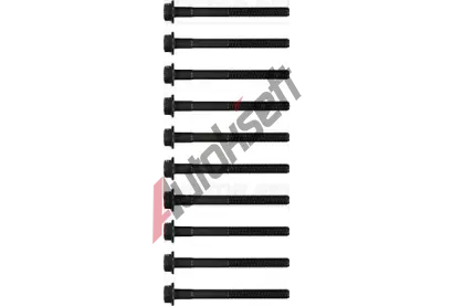REINZ Sada �roub� pro hlavy v�lc� VR 14-55001-01, 14-55001-01