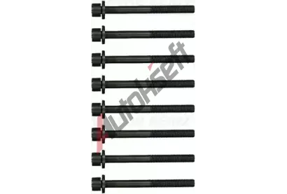 REINZ Sada �roub� pro hlavy v�lc� VR 14-55007-02, 14-55007-02