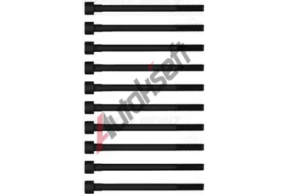 REINZ Sada roub pro hlavy vlc VR 14-55008-01, 14-55008-01