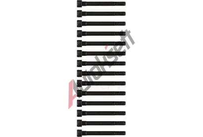 REINZ Sada �roub� pro hlavy v�lc� VR 14-55040-01, 14-55040-01