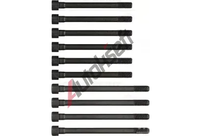 REINZ Sada šroubů pro hlavy válců VR 14-55042-01, 14-55042-01 REINZ Sada šroubů pro hlavy válců VR 14-55042-01, 14-55042-01