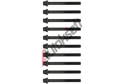 REINZ Sada �roub� pro hlavy v�lc� VR 14-55048-01, 14-55048-01