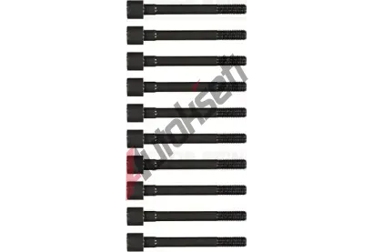 REINZ Sada �roub� pro hlavy v�lc� VR 14-55051-01, 14-55051-01