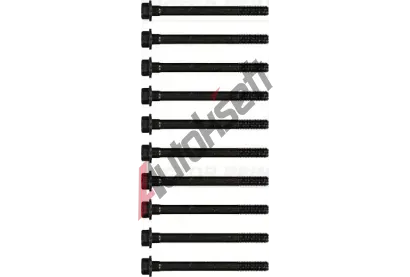 REINZ Sada �roub� pro hlavy v�lc� VR 14-55061-01, 14-55061-01
