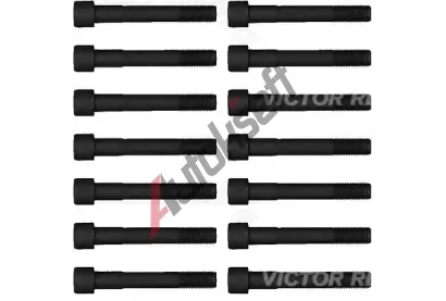 REINZ Sada �roub� pro hlavy v�lc� VR 14-55065-01, 14-55065-01