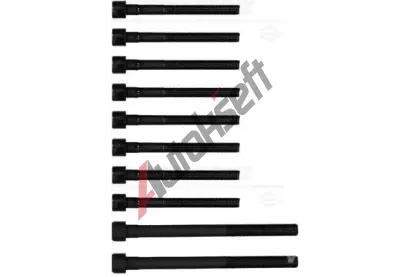 REINZ Sada roub pro hlavy vlc VR 14-55097-01, 14-55097-01