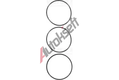 REINZ Sada těsnění - válcové pouzdro VR 15-35170-01, 15-35170-01 REINZ Sada těsnění - válcové pouzdro VR 15-35170-01, 15-35170-01