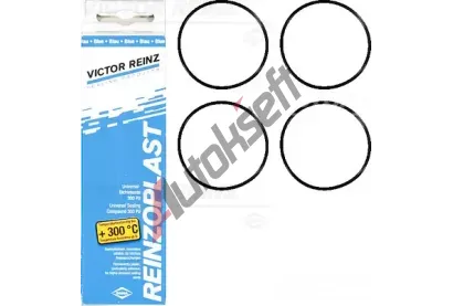 REINZ Sada tsnn - kryt hlavy vlce VR 15-76741-01, 15-76741-01