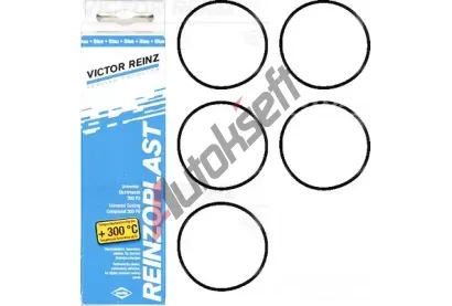 REINZ Sada tsnn - kryt hlavy vlce VR 15-76741-02, 15-76741-02