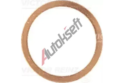 REINZ Tsnc krouek VR 40-70134-00, 40-70134-00