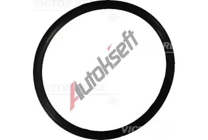 REINZ T�sn�c� krou�ek VR 40-76022-10, 40-76022-10