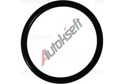 REINZ T�sn�c� krou�ek VR 40-76097-00, 40-76097-00