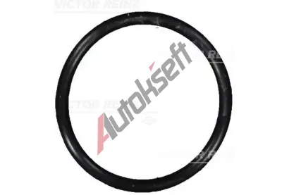 REINZ T�sn�c� krou�ek VR 40-76101-00, 40-76101-00