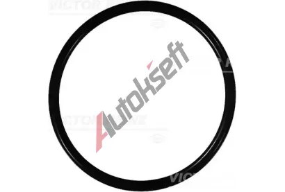 REINZ T�sn�c� krou�ek VR 40-76125-00, 40-76125-00