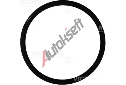 REINZ Tsnc krouek VR 40-76165-00, 40-76165-00