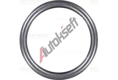 REINZ Tsnc krouek VR 40-76313-10, 40-76313-10
