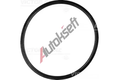 REINZ T�sn�c� krou�ek VR 40-76412-00, 40-76412-00